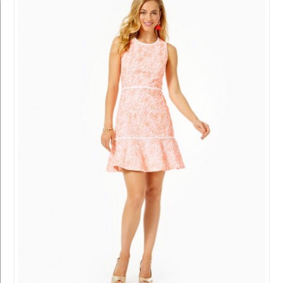 🥳HP🥳NWT💥Lily Pulitzer Ellen Dress 💥Sz. 6 - Picture 4 of 13